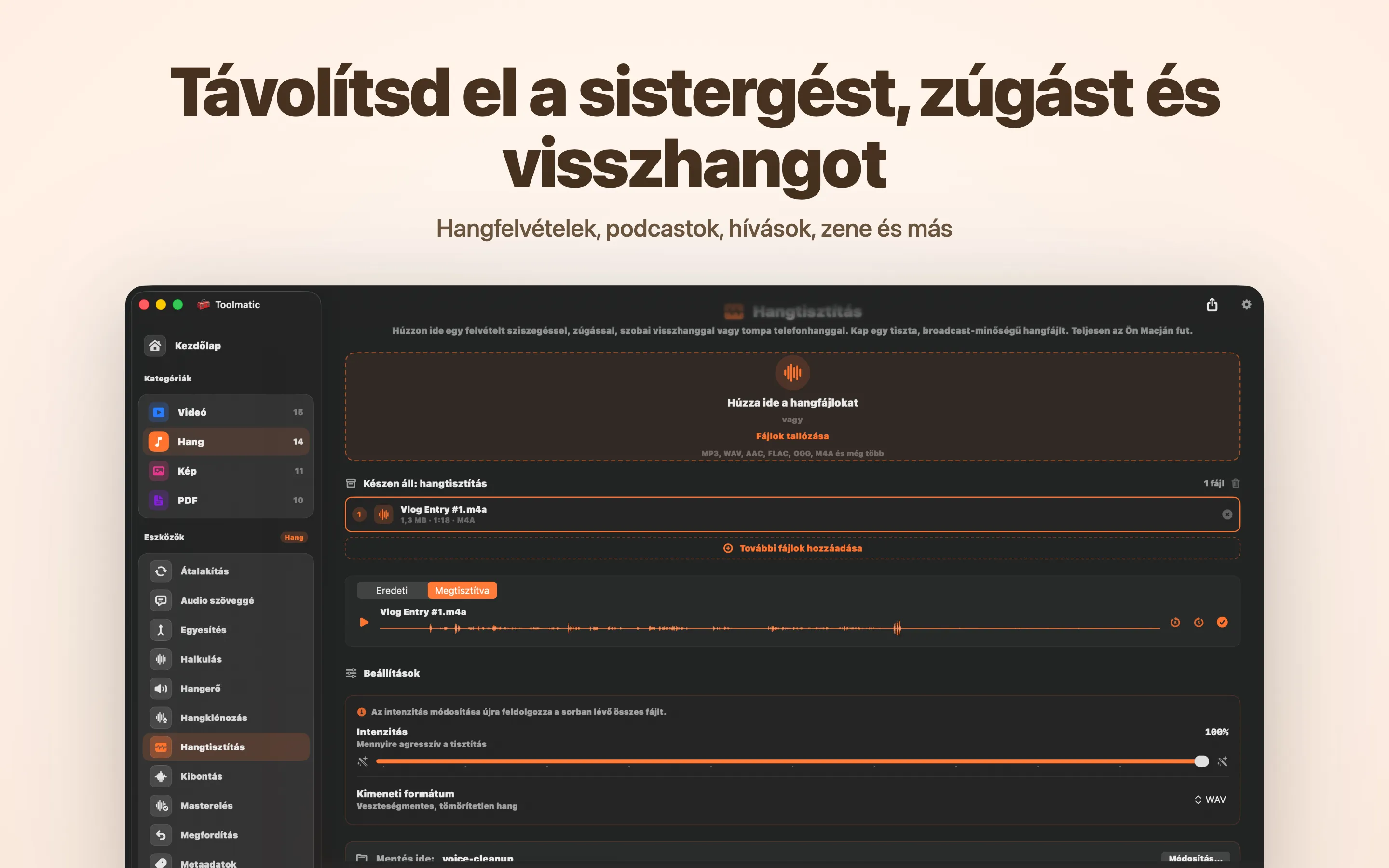 Voice Cleanup, sziszegés, búgás, visszhang és clipping eltűnt