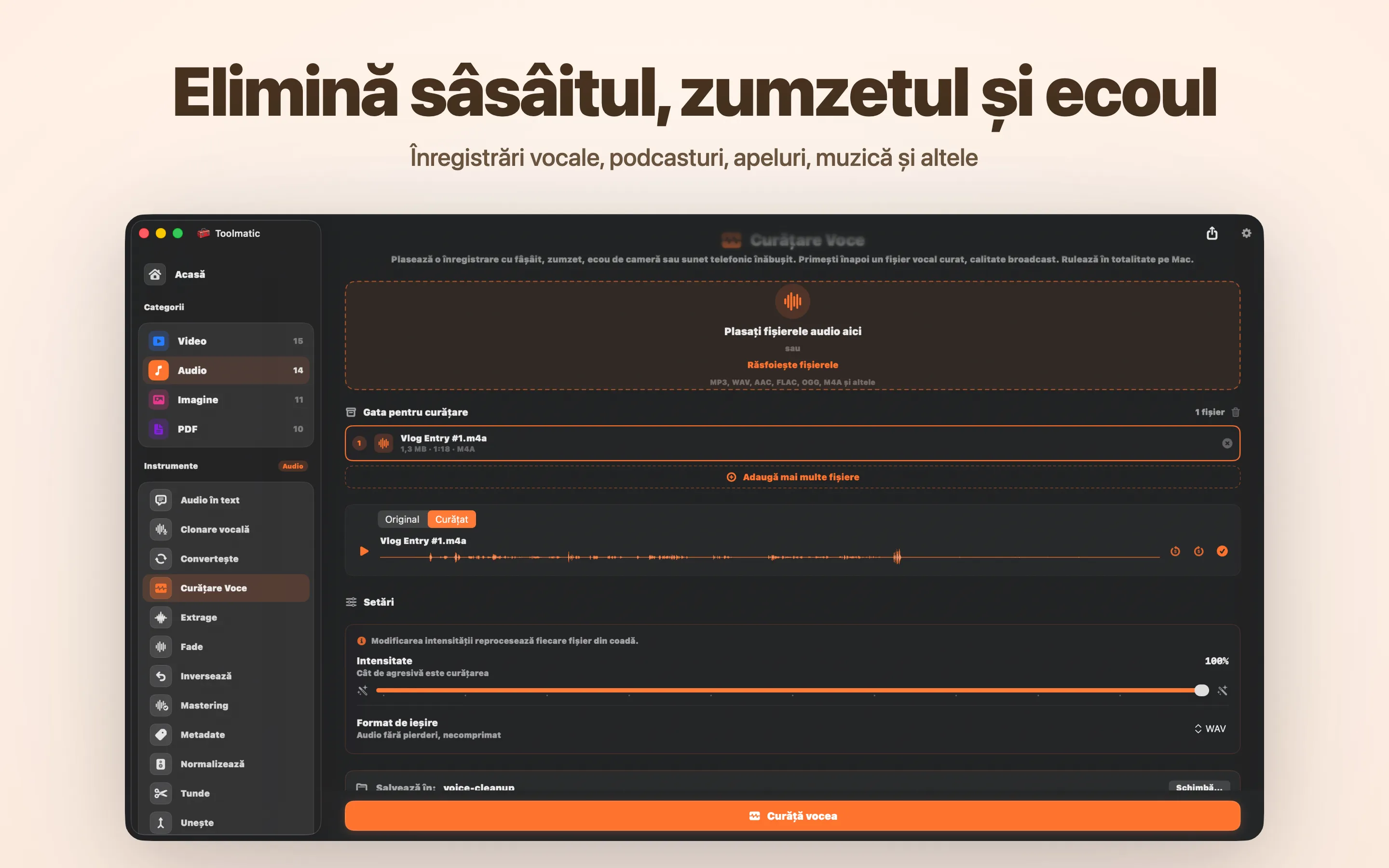 Voice Cleanup, fără sâsâit, hum, ecou și clipping