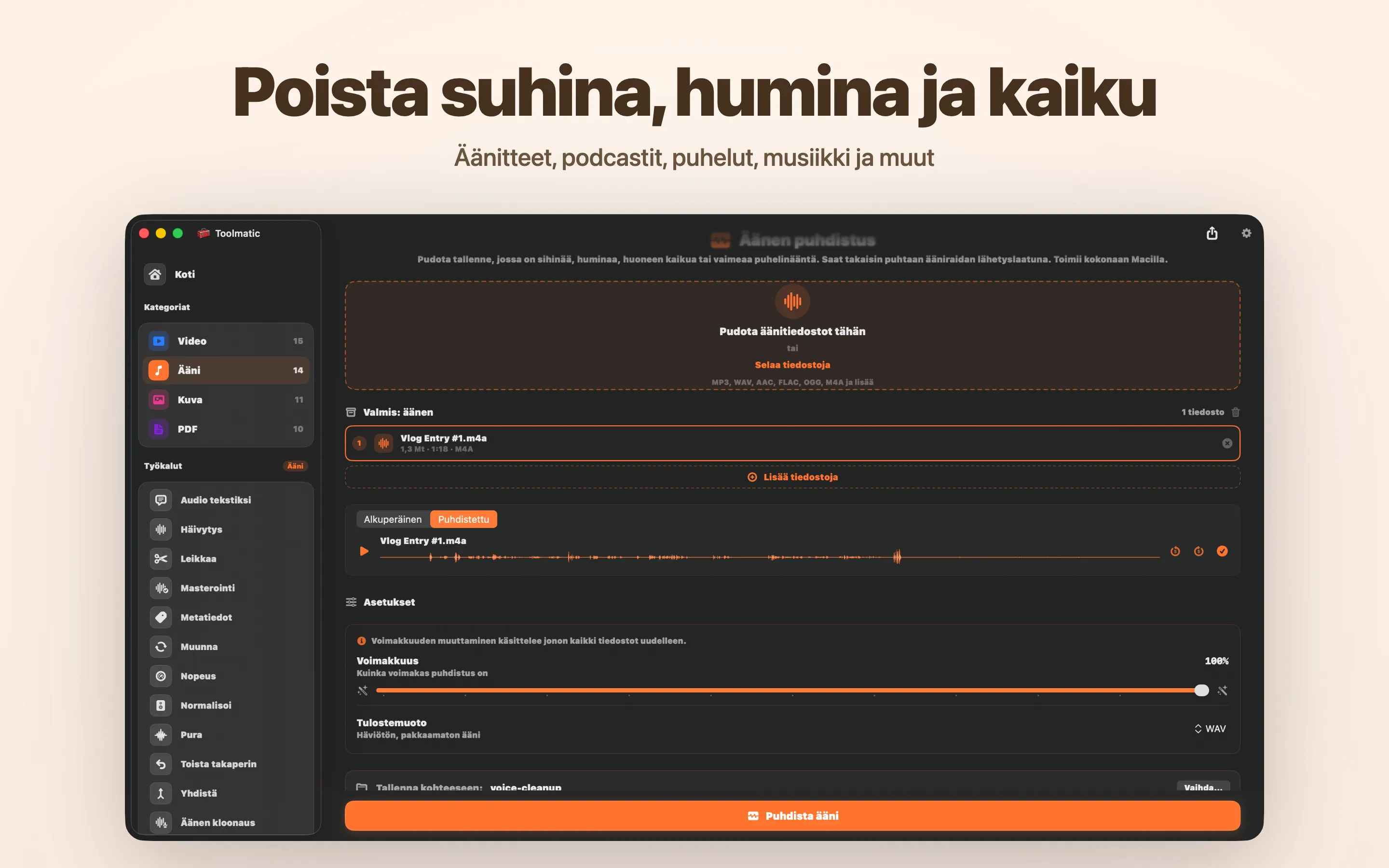 Voice Cleanup, sihinä, hurina, kaiku ja clipping poissa
