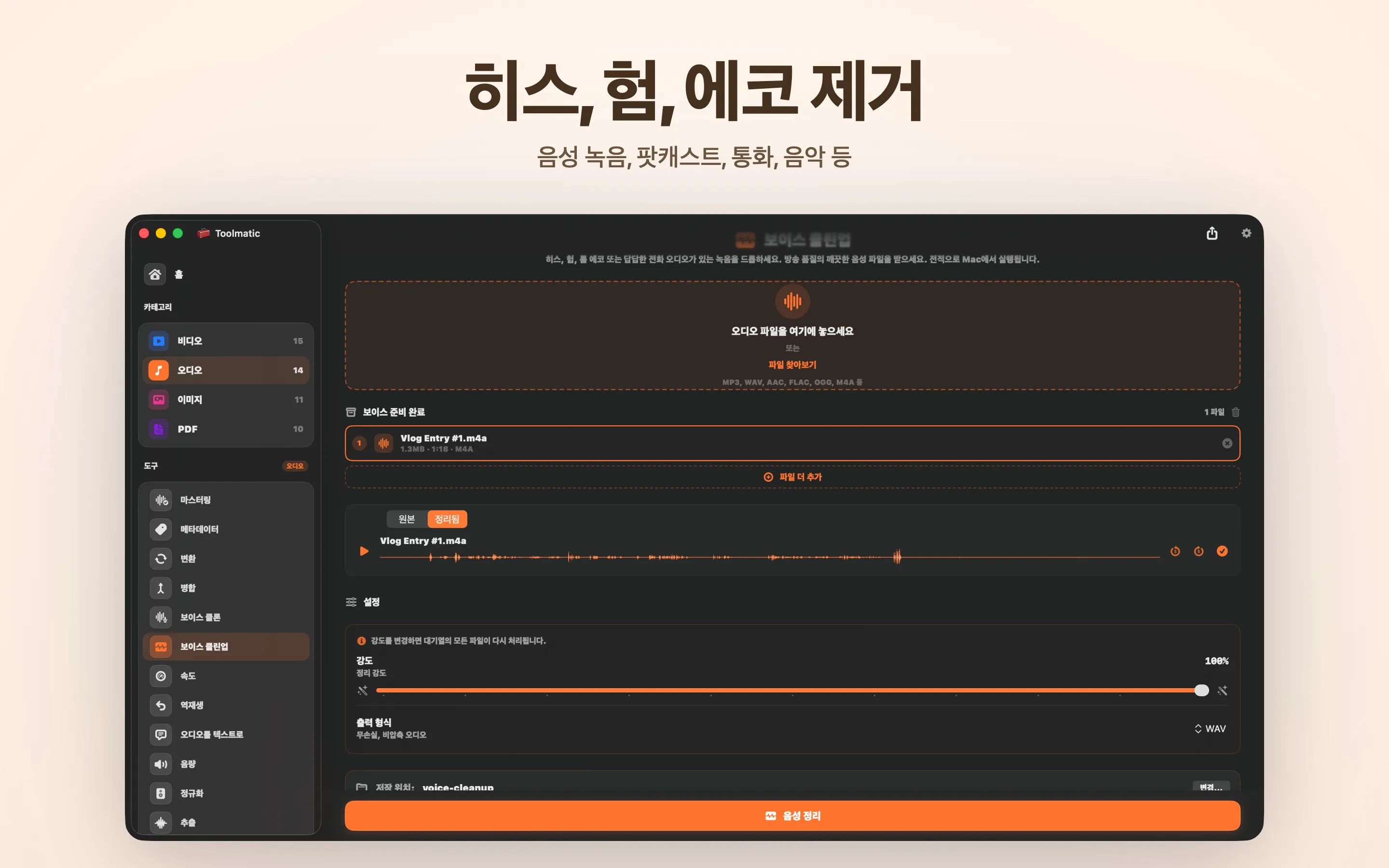 Voice Cleanup, 히스, 험, 에코, 클리핑을 한 번에 제거