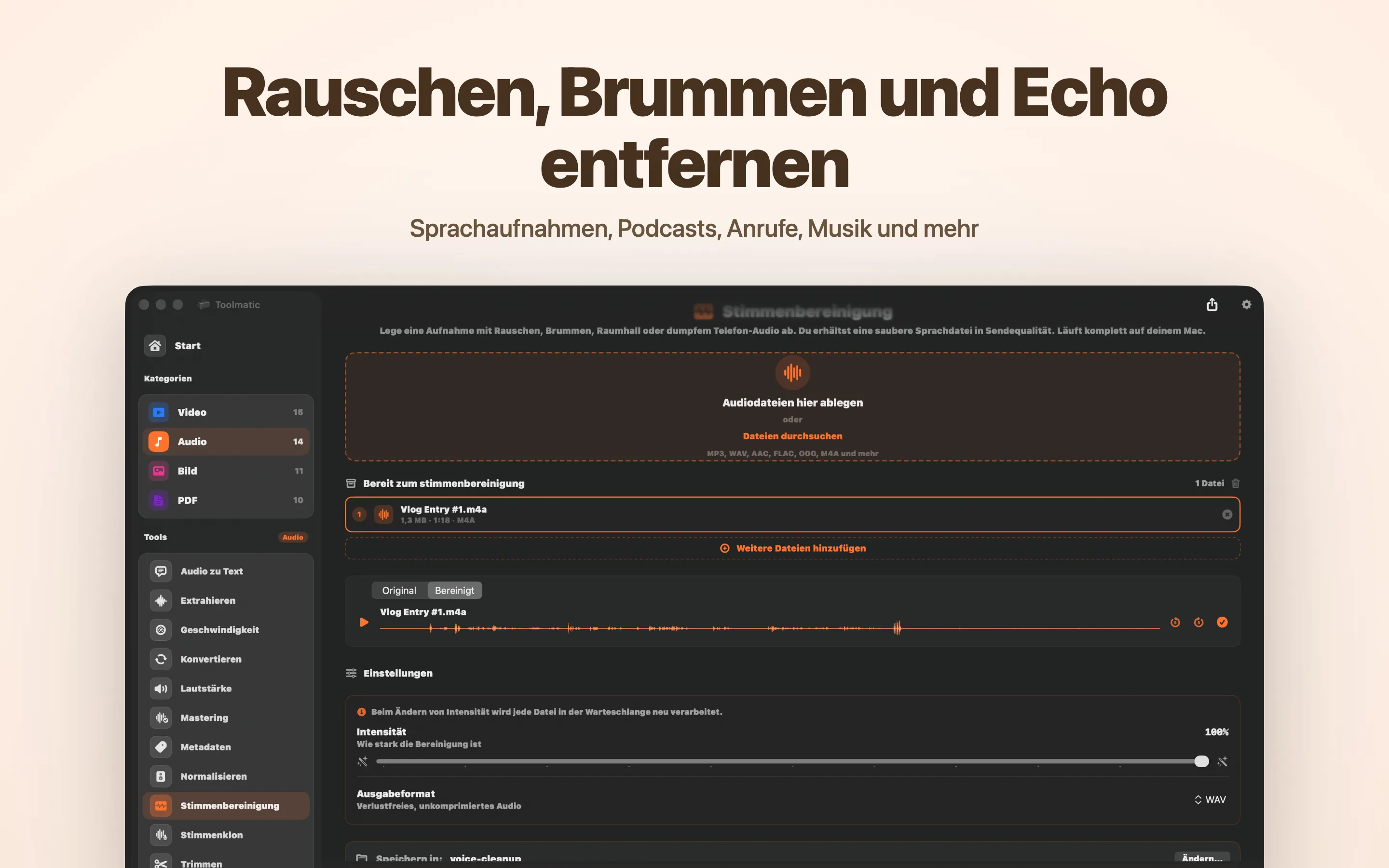 Voice Cleanup, Rauschen, Brummen, Echo und Clipping weg