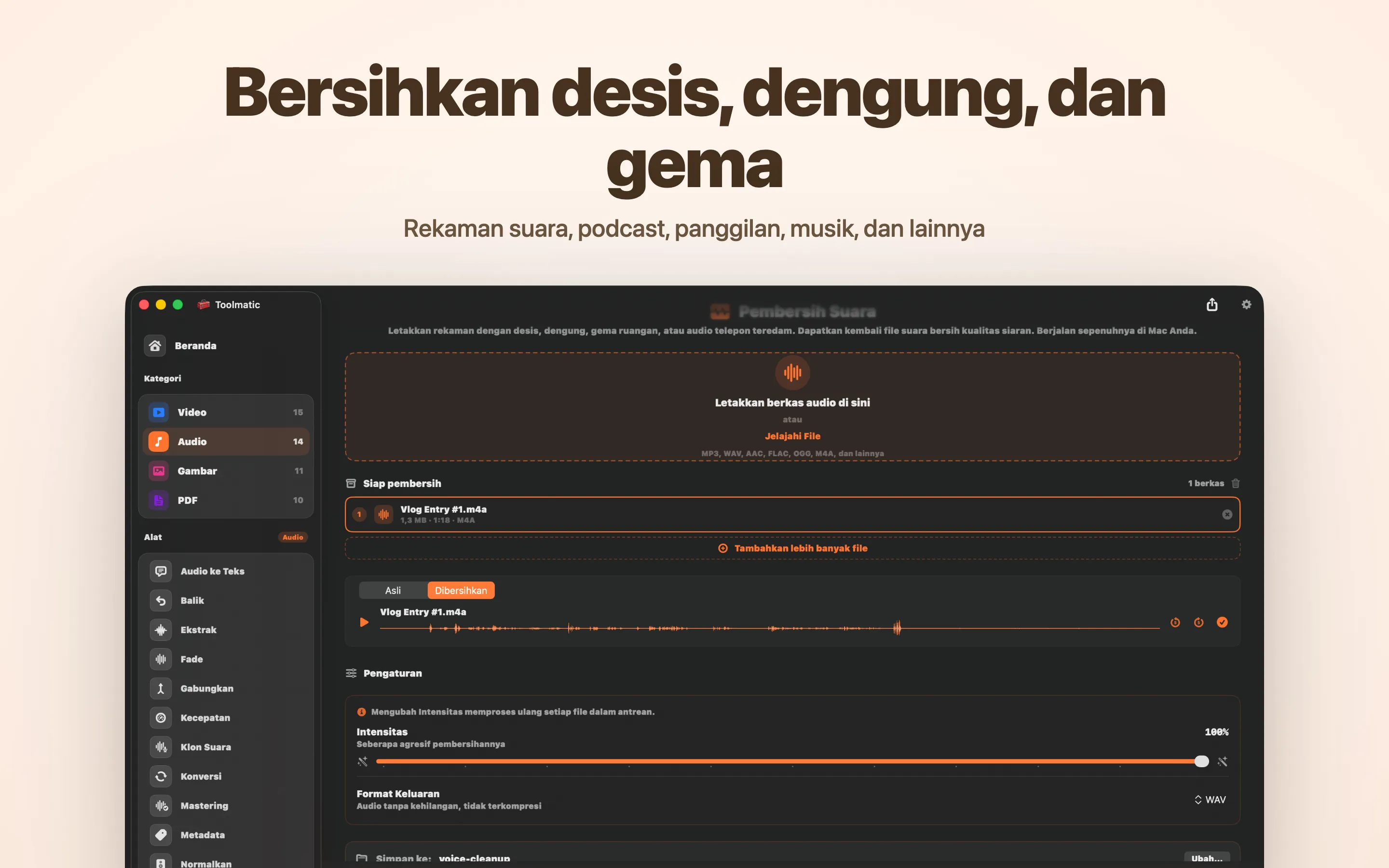 Voice Cleanup, hiss, hum, echo, dan clipping hilang