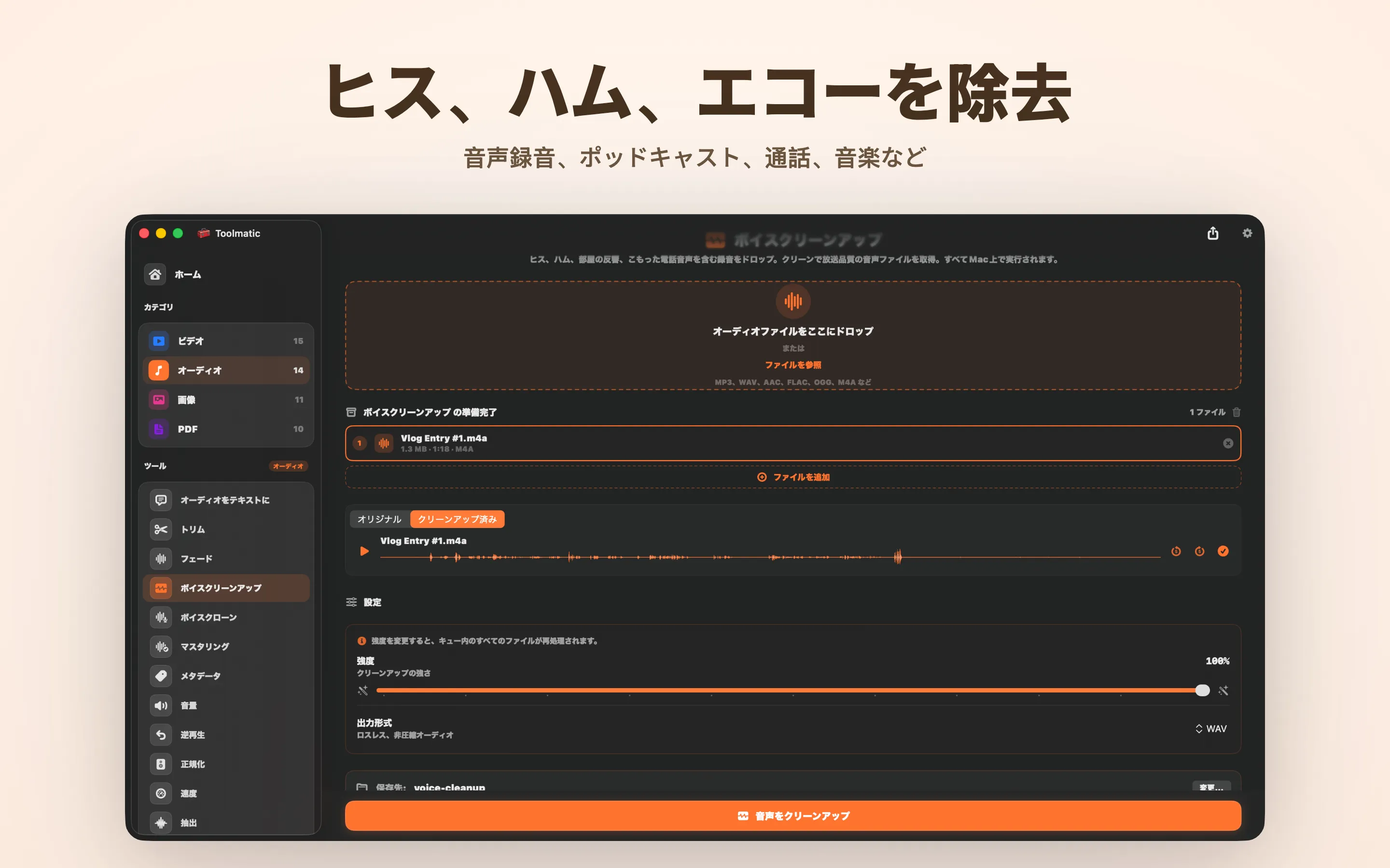 Voice Cleanup、ヒス、ハム、エコー、クリッピングをまとめて除去