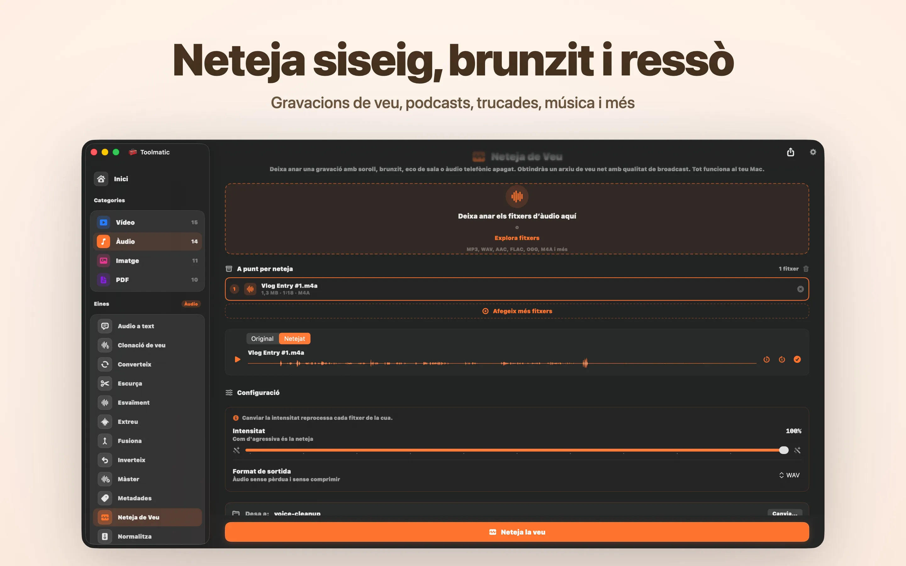 Voice Cleanup, sense brunzit, soroll, eco ni clipping