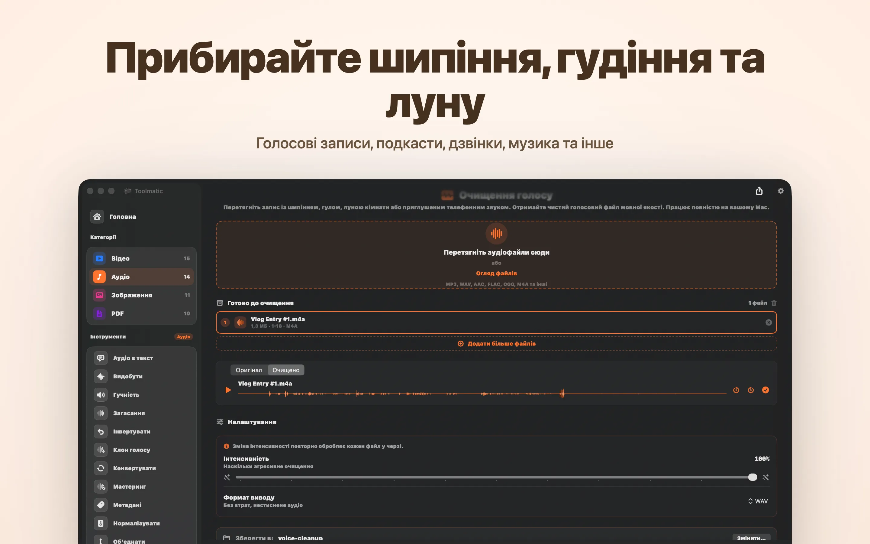 Voice Cleanup, шипіння, гул, відлуння та кліппінг усунено