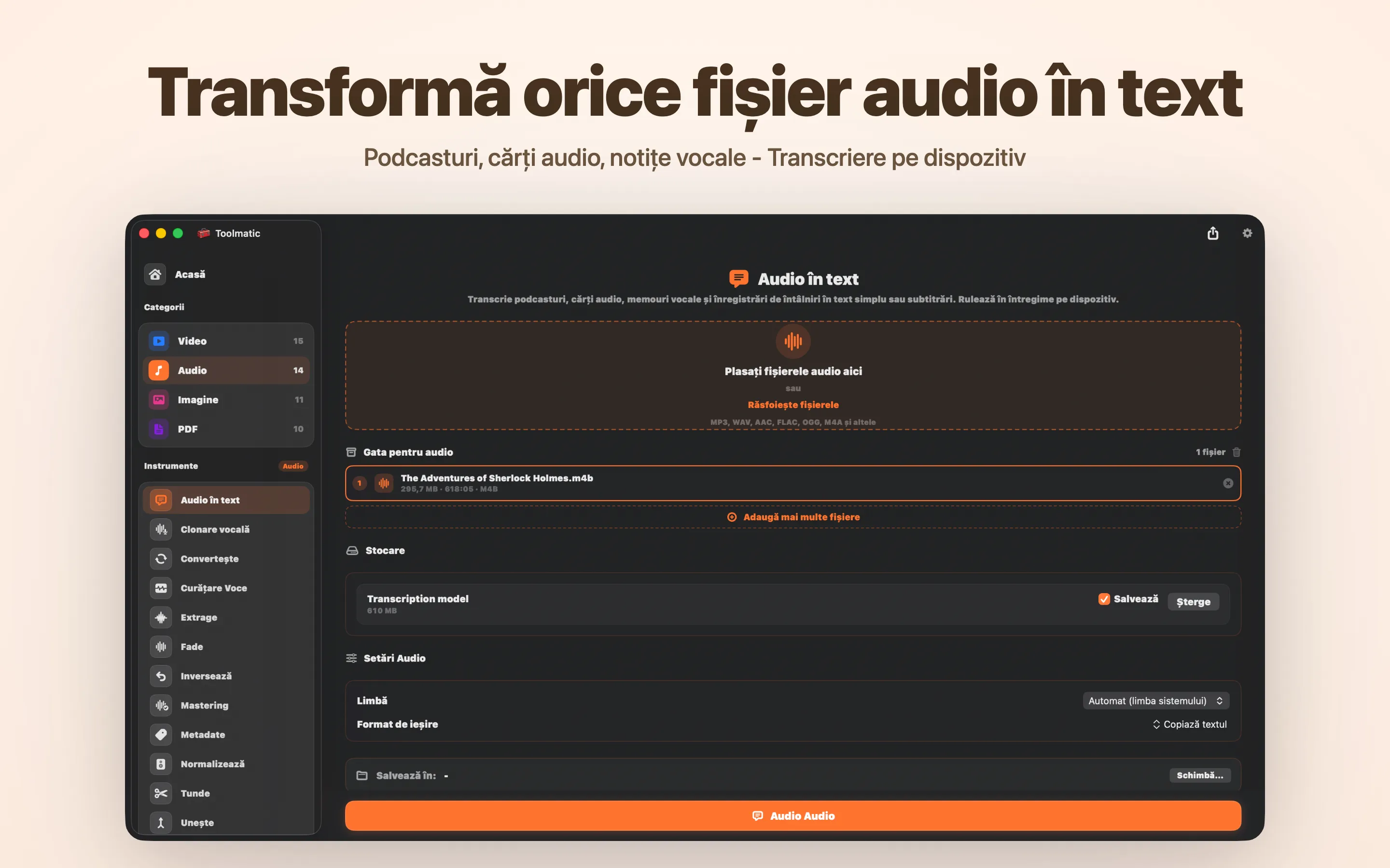 Audio în text