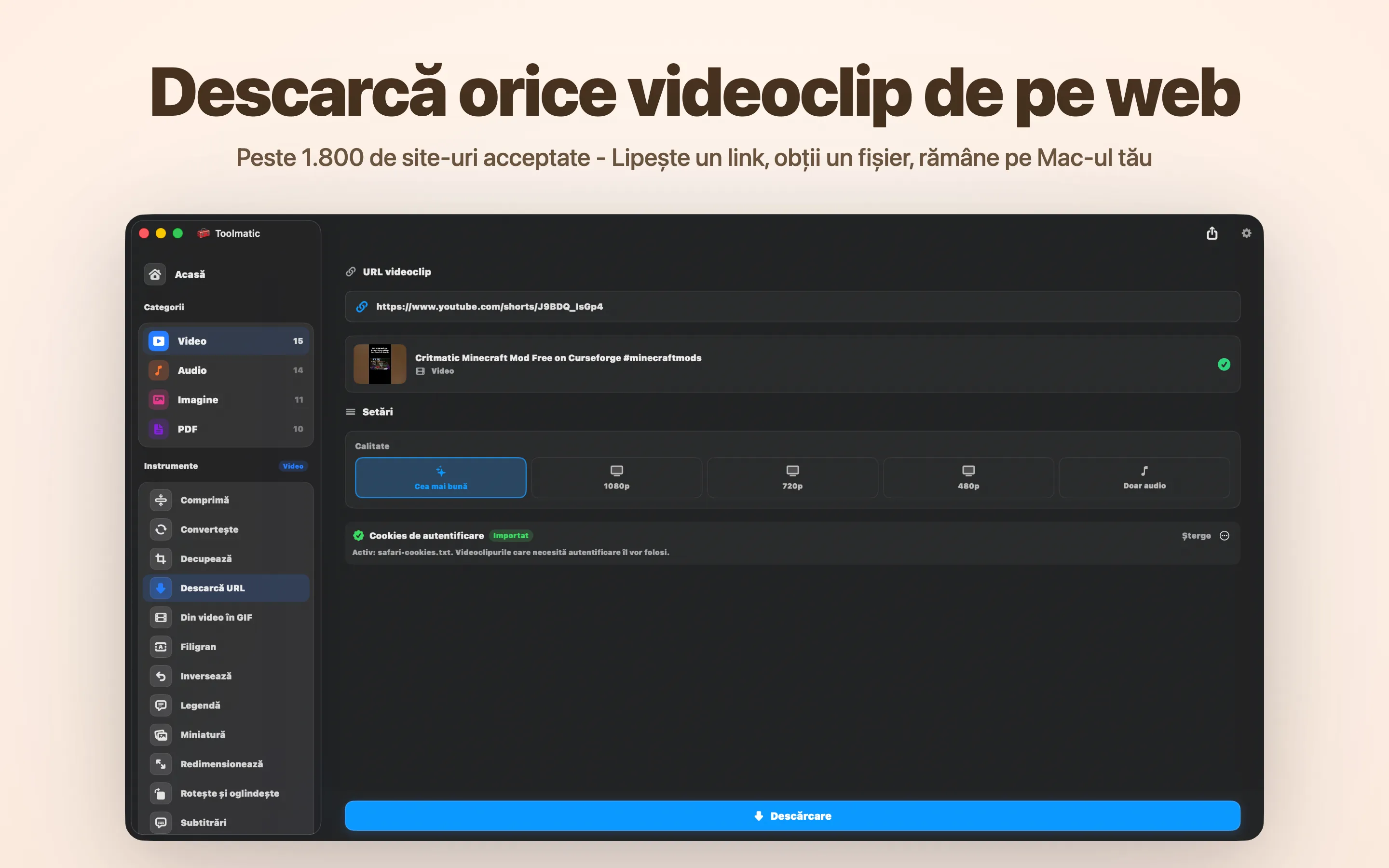 Descărcare video