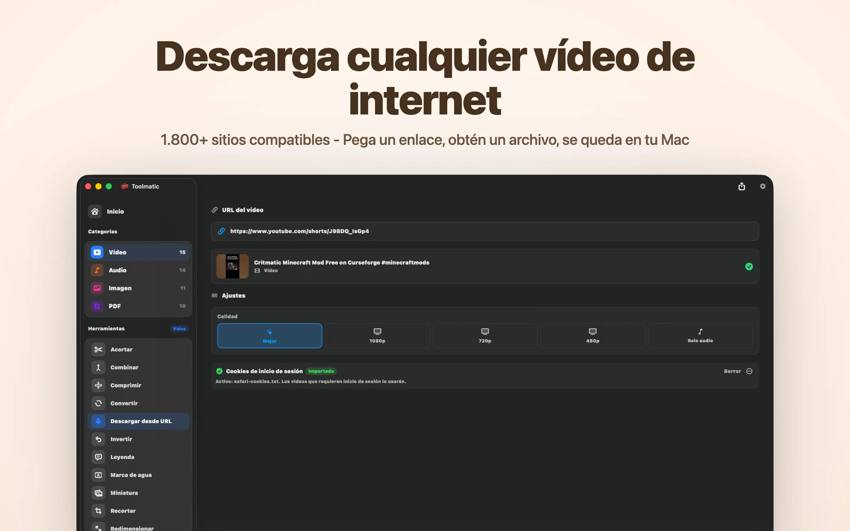 Descarga de vídeo