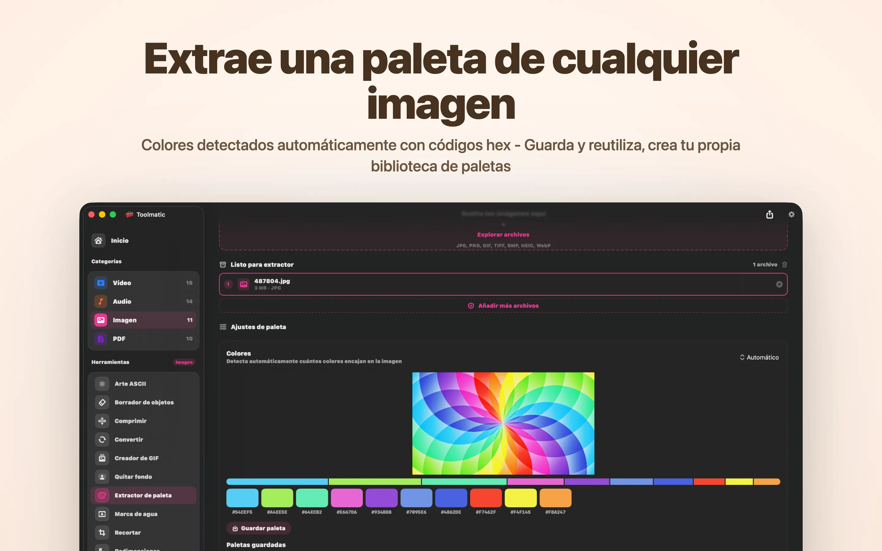 Extracción de paleta
