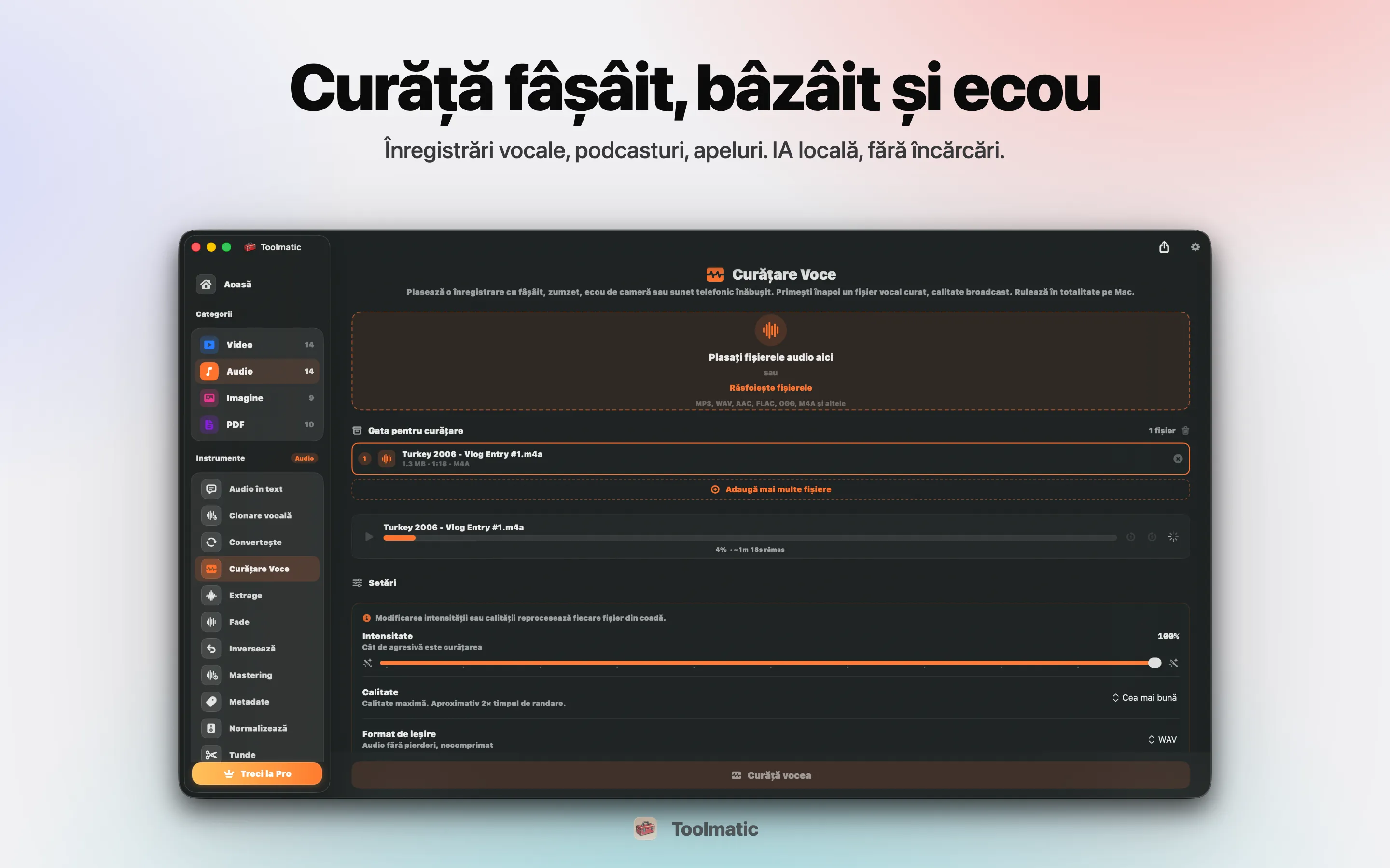 Voice Cleanup, fără sâsâit, hum, ecou și clipping